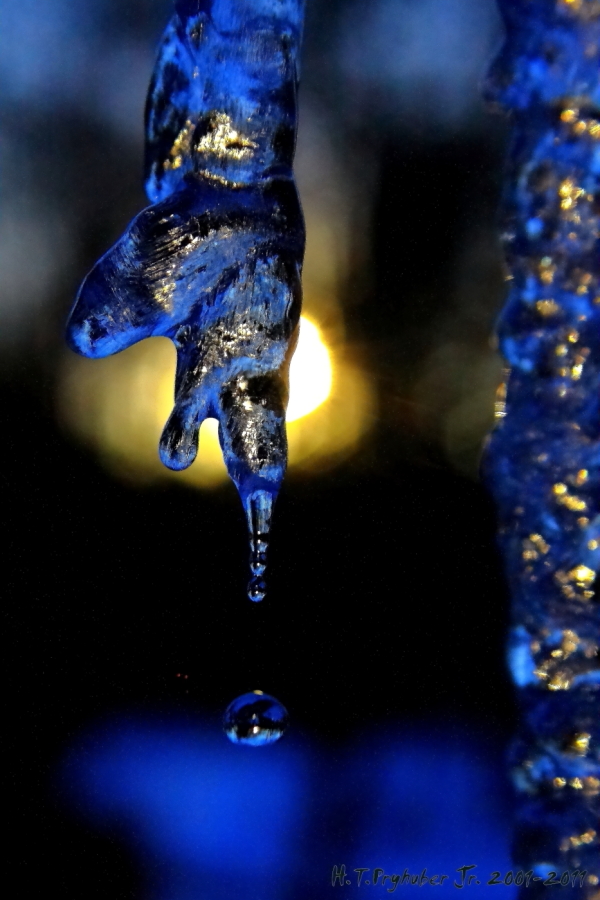2011 01 13 IMG 16970e copyright 041211